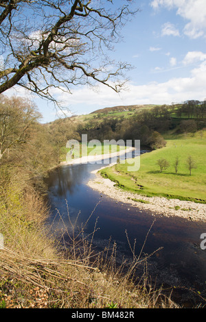 Des Flusses Wharfe im Wharfedale in der Nähe von "Bolton Abbey", North Yorkshire, England. Stockfoto