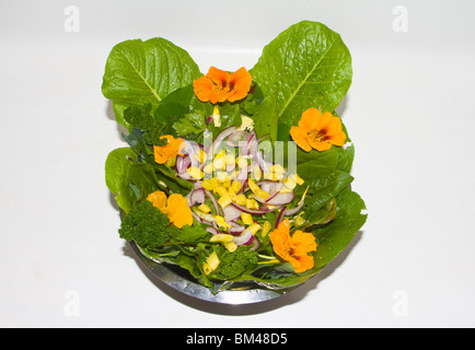 Essbare Blumen in einem Salat. Stockfoto