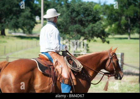 Cowboy reitet sein Pferd Stockfoto