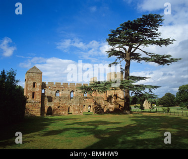 Reste von Acton Burnell Castle, einem befestigten Herrenhaus aus dem 13. Jahrhundert Stockfoto