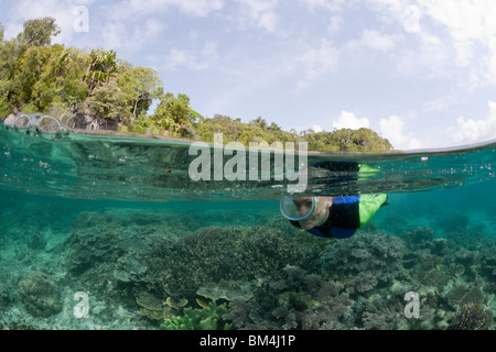 Schnorcheln am seichten Korallenriff, Raja Ampat, West-Papua, Indonesien Stockfoto