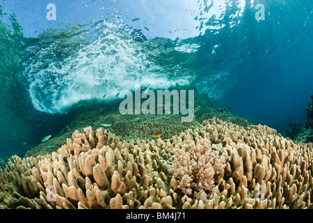 Welle, Verletzung am Riff, Raja Ampat, West-Papua, Indonesien Stockfoto