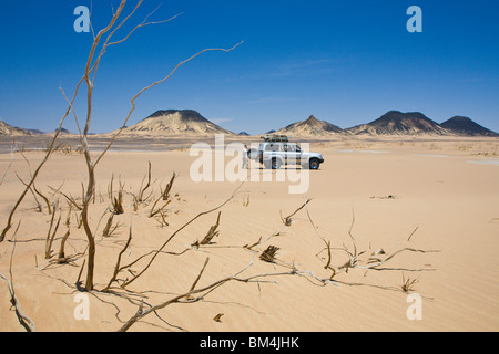 Jeep-Tour in der schwarzen Wüste, libysche Wüste, Ägypten Stockfoto