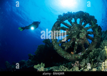 Bahn-Rad von Numidien Wrack, Brother Islands, Rotes Meer, Ägypten Stockfoto