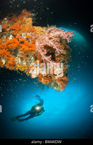 Taucher in Grotte, Raja Ampat, West Papua, Indonesien Stockfoto