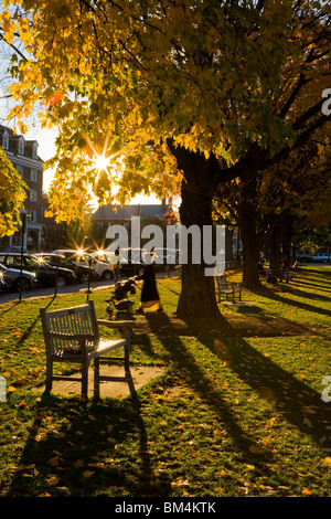 Am späten Nachmittag auf dem Dartmouth College in Hanover (New Hampshire). Stockfoto