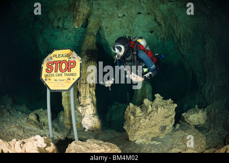 Taucher im Auto waschen Cenote Aktun Ha, Tulum, Halbinsel Yucatan, Mexiko Stockfoto