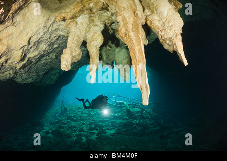 Taucher im Auto waschen Cenote Aktun Ha, Tulum, Halbinsel Yucatan, Mexiko Stockfoto