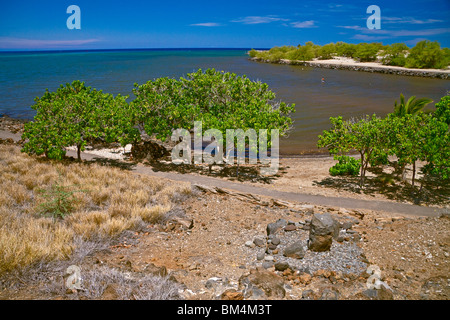 Suche bei Puukohola Heiau National Historic Site, Kohala, Big Island, Hawaii, USA Stockfoto