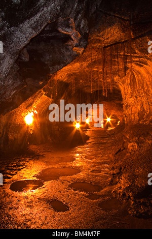 Thurston Lava Tube, Volcanoes National Park, Kilauea, Big Island, Hawaii, USA Stockfoto