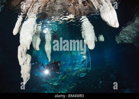 Taucher in Gran Cenote, Tulum, Halbinsel Yucatan, Mexiko Stockfoto