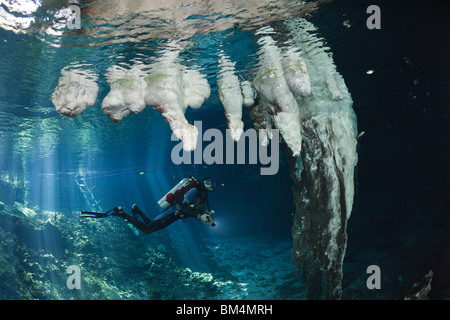 Taucher in Gran Cenote, Tulum, Halbinsel Yucatan, Mexiko Stockfoto