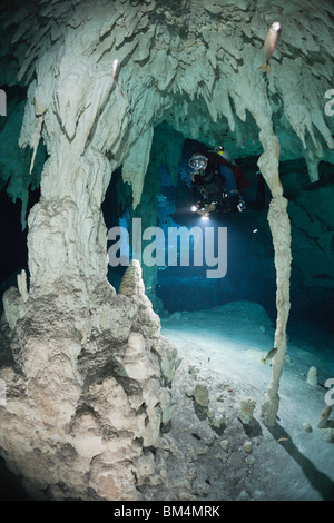 Taucher in Gran Cenote, Tulum, Halbinsel Yucatan, Mexiko Stockfoto