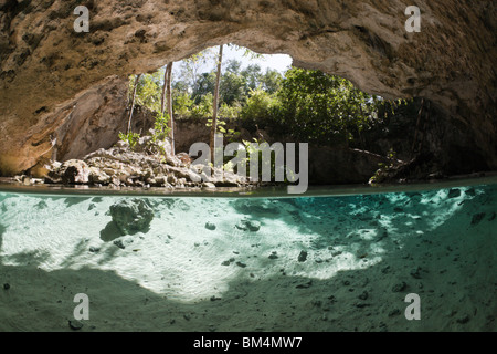 Eingang des Gran Cenote, Tulum, Halbinsel Yucatan, Mexiko Stockfoto