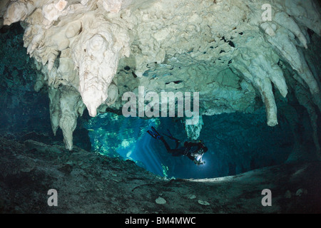 Taucher in Gran Cenote, Tulum, Halbinsel Yucatan, Mexiko Stockfoto