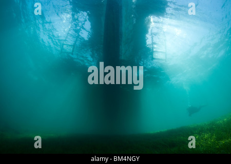 Tauchboot über Sea Grass Bett, Cabilao Island, Inseln der Visayas, Philippinen Stockfoto