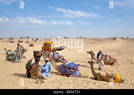 Kamele bei Sam Sand Dunes National Park. In der Nähe von Jaisalmer. Rajasthan. Indien Stockfoto