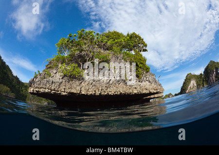 Kleine Insel von Raja Ampat, West-Papua, Indonesien Stockfoto