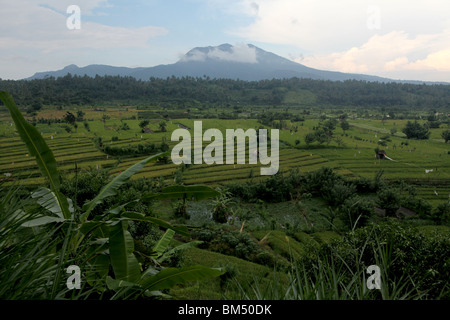 Terrassierte Reisfelder in der Nähe von Tirtagangga mit vulkanischen Gipfel des Gunung Lempuyang am Horizont in Bali, Indonesien. Stockfoto
