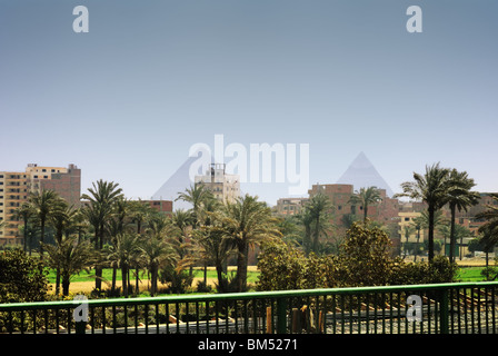 Ansicht von Gizeh, Kairo, Ägypten mit Palmen und städtischen Gebäuden im Vordergrund und die Pyramiden im Hintergrund Stockfoto