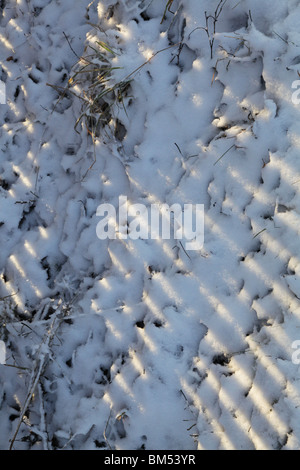 Eine traditionelle Gartenzaun wirft lange Schatten auf Schnee bei tief stehender Sonne in Finnland Stockfoto