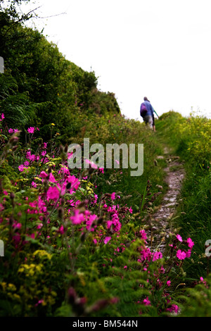 Ein paar Fuß auf einer Land-Weg auf den Hügeln oberhalb von Polperro mit wilden Blumen in voller Blüte Stockfoto