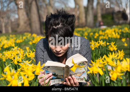 Junge Frau, die ein Buch unter den Narzissen in St James Park, London, England, UK Stockfoto