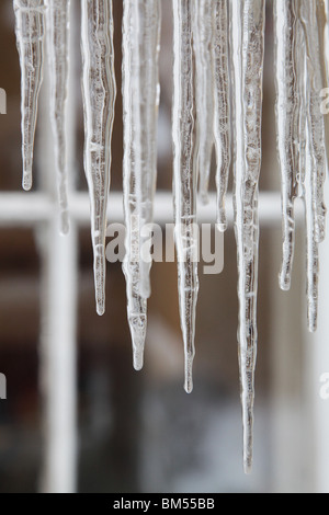 RIESIGE, WUNDERSCHÖNE REIHEN-EISZAPFEN: Große Eiszapfen hängen im tiefen Winter am Fenster eines traditionellen Holzhauses in Godby auf dem Åland-Archipel in Finnland Stockfoto