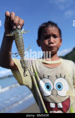 Junge mit Garnelen in Paniman Dorf, ein Tor zu den Inseln der Halbinsel Caramoan in Süd-Ost-Luzon auf den Philippinen. Stockfoto