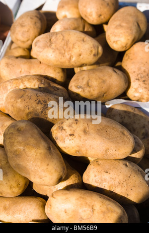 Bio-Kartoffeln am Bauernmarkt, Nahaufnahme Stockfoto