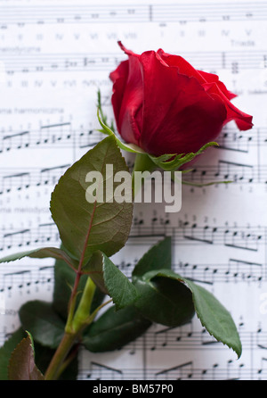 Rose auf Noten liegen Stockfoto