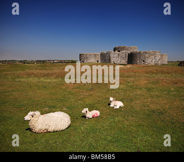 Camber Castle. Stockfoto