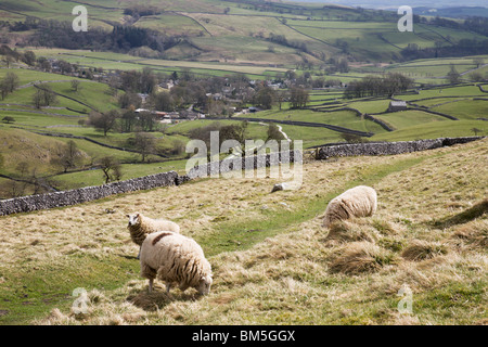 Schafbeweidung auf einem Hügel mit Blick auf Malham Dorf, Yorkshire Dales, England. Stockfoto