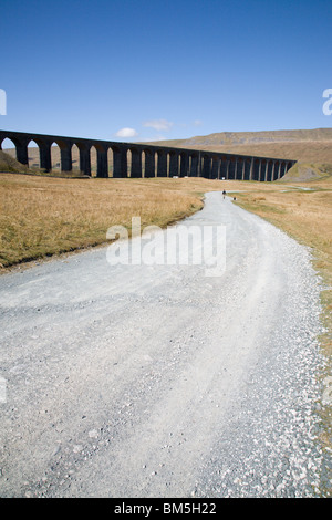 Die Ribblehead Eisenbahn-Viadukt, North Yorkshire, England. Stockfoto