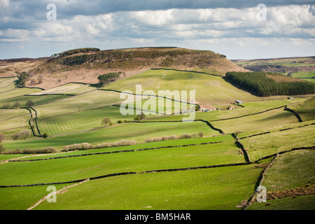 Der weitläufige Heide wenig Fryup Dale im Norden York moors, North Yorkshire, England Stockfoto