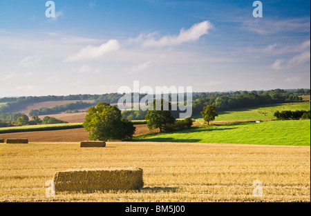 Blick über die Felder von Heuballen auf den Marlborough Downs in der Nähe von Ogbourne St George Stockfoto