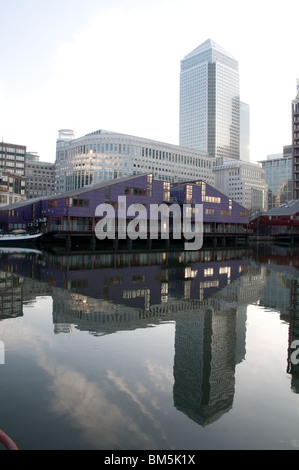 Alte und neue Canary Wharf Gebäude spiegelt sich in den stillen Wassern des West India Docks Stockfoto