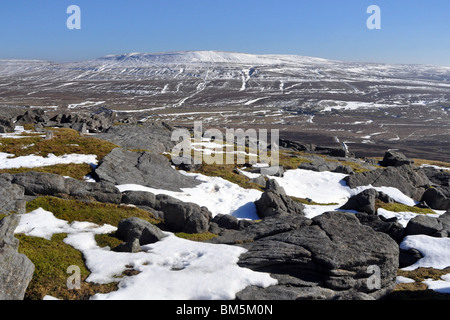 Pen Y Gent, garniert mit Schnee Yorkshire Dales UK Stockfoto