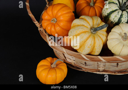 Kürbisse und Kürbisse im Korb Stockfoto