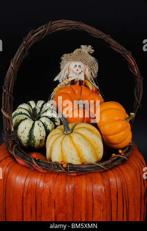 Halloween-Korb mit Kürbissen und Kürbisse Stockfoto