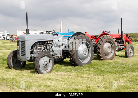 Klassische Traktoren angezeigt bei der Bill Targett Memorial Rallye statt auf Matterley Farm, Winchester am 15. Mai 2010. Stockfoto