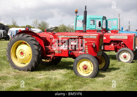 Klassische Traktoren angezeigt bei der Bill Targett Memorial Rallye statt auf Matterley Farm, Winchester am 15. Mai 2010. Stockfoto