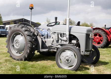 Klassische Traktoren angezeigt bei der Bill Targett Memorial Rallye statt auf Matterley Farm, Winchester am 15. Mai 2010. Stockfoto