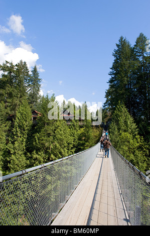 Die Capilano Suspension Bridge auf der North Shore von Vancouver Stockfoto