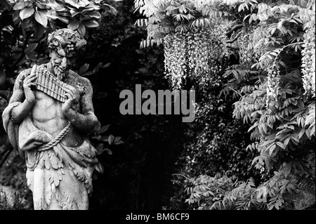 Pan Statue mit Glyzinien Wand Hintergrund bei RHS Wisley Gardens, England. Monochrom Stockfoto