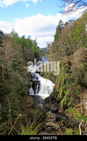 Reekie Linn fällt hinter der Brücke Craigisla, Angus, Schottland, Großbritannien. Stockfoto