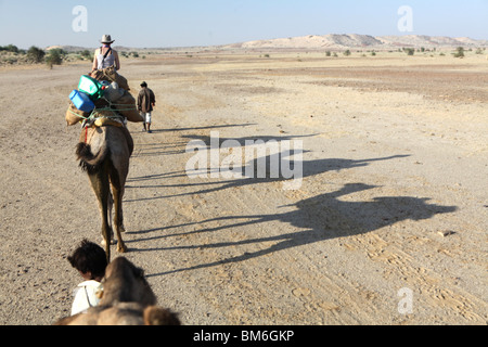 Die Schatten der Kamele auf eine Kamel-Safari in den großen Thar Wüste außerhalb Jaisalmer, Rajasthan in Indien. Stockfoto