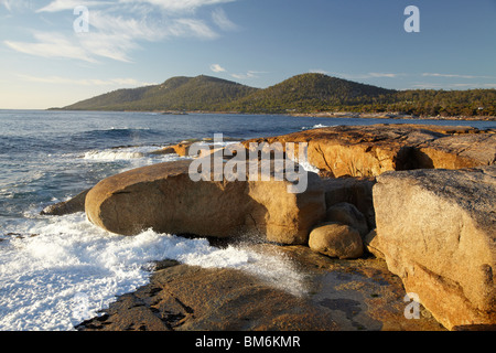 Felsenküste am Bicheno, östlichen Tasmanien, Australien Stockfoto