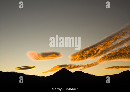 Sonnenaufgang in den Altiplano (hohen Anden-Hochebene) mit der Silhouette der Licancabur Vulkan, Atacama-Wüste, Chile, Südamerika Stockfoto