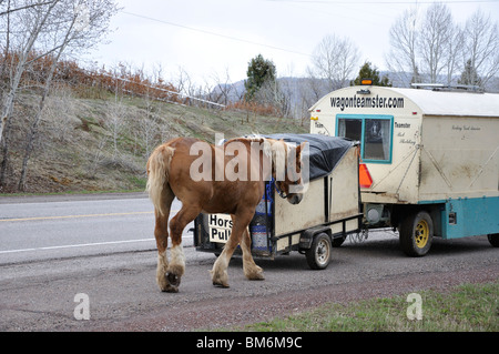 Wagonteamster - Wagen und Pferd Art des Reisens, USA Stockfoto